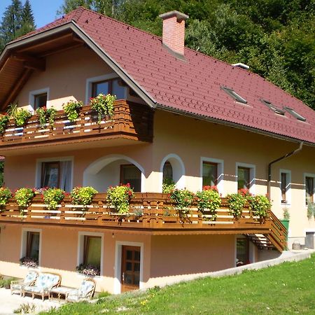Apartma Smole Kranjska Gora Kültér fotó
